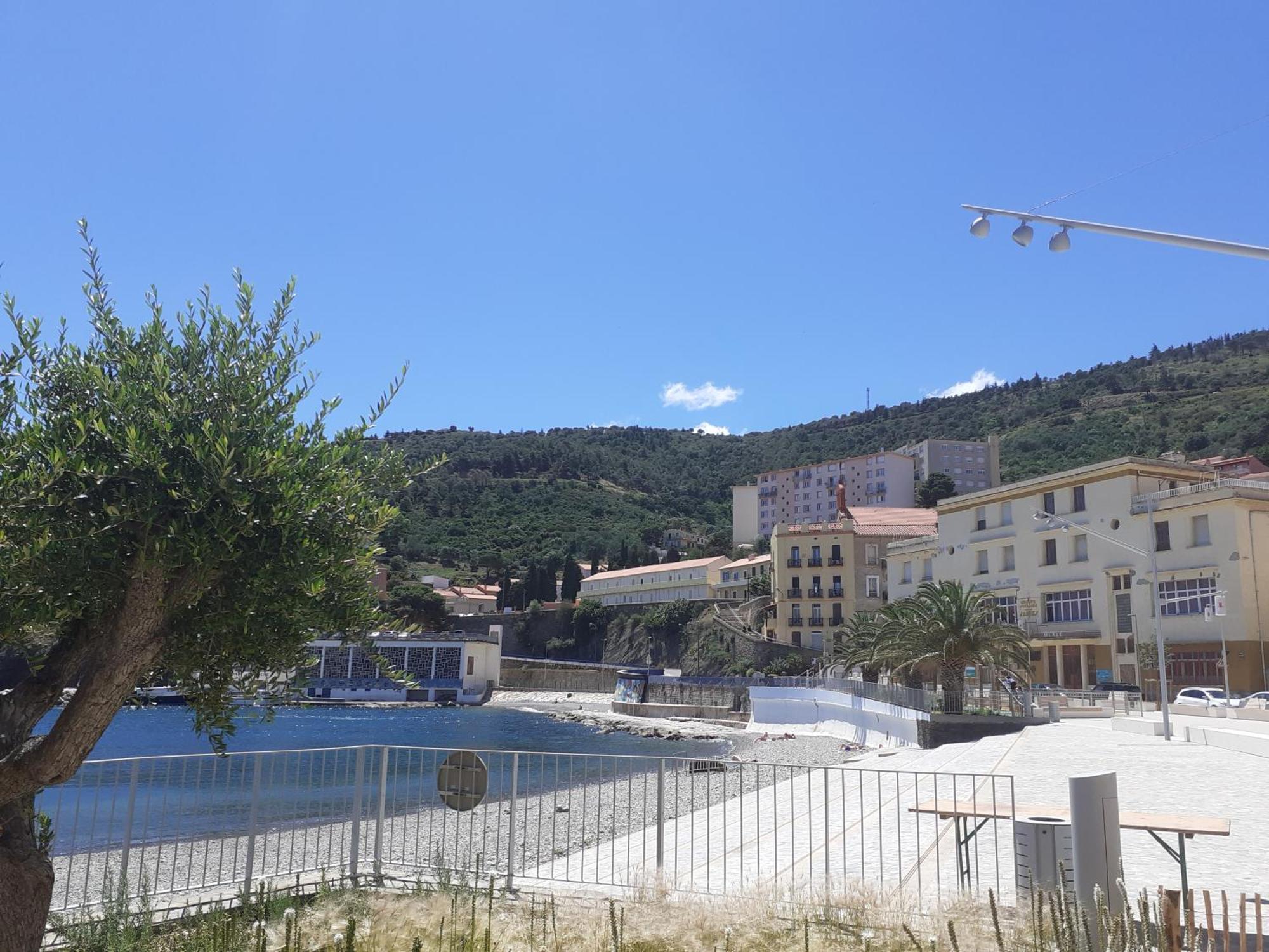 Apartment Bel Bord De Cerbere